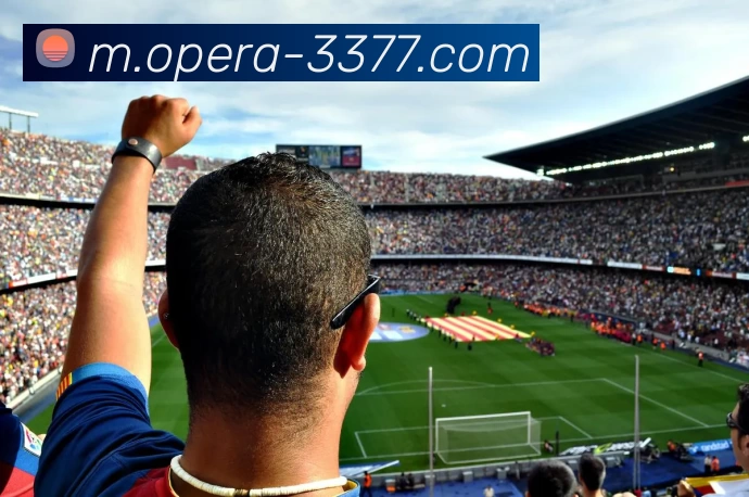 3377体育服务体系