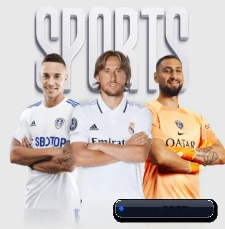 我们在做什么（3377SPORTS）